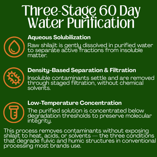 10 - in 1 Alpha Shilajit Gummies - Nexora