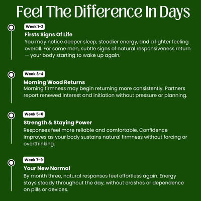 10 - in 1 Alpha Shilajit Gummies - Nexora