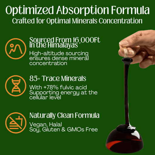 10 - in 1 Alpha Shilajit Gummies - Nexora