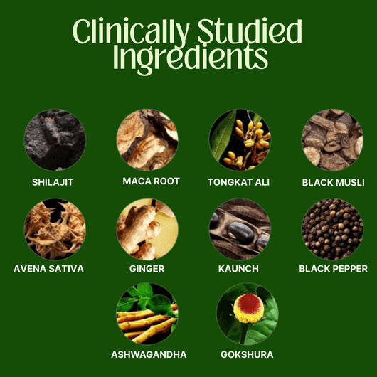 10 - in 1 Alpha Shilajit Gummies - Nexora