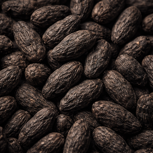 Black Musli